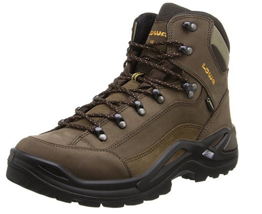 image of Lowa Renegade GTX best outdoor shoes