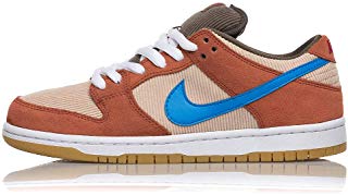 Nike SB Dunk Low Pro trending shoes