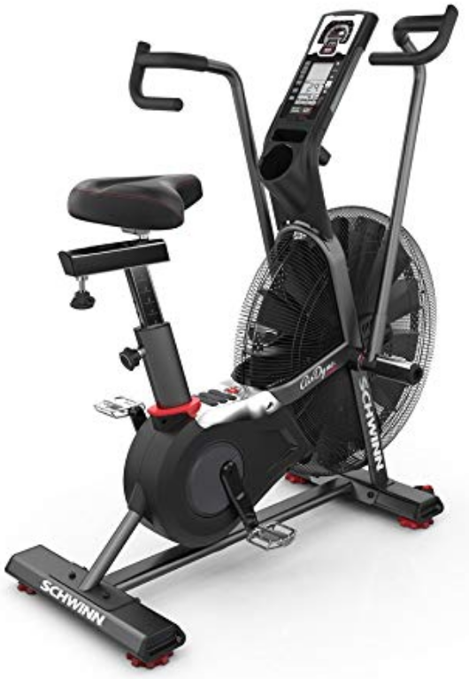 Schwinn Airdyne Pro