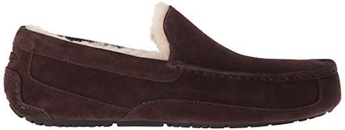 Best Wool Sneakers UGG Ascot