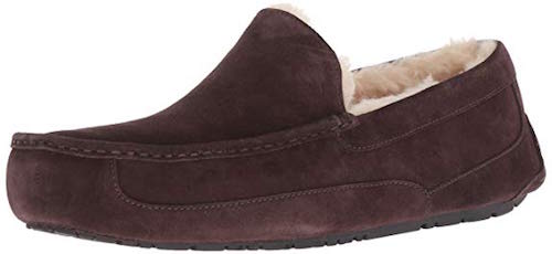 Best Wool Sneakers UGG Ascot