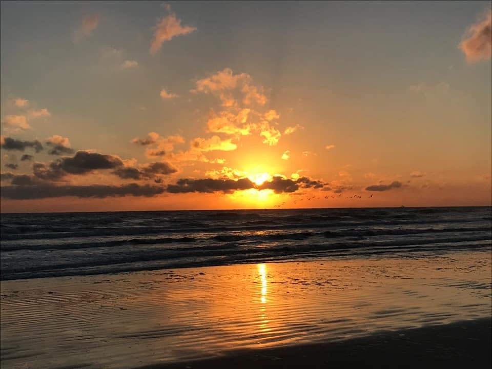 Sarah Byrne, New Smyrna Beach, FL