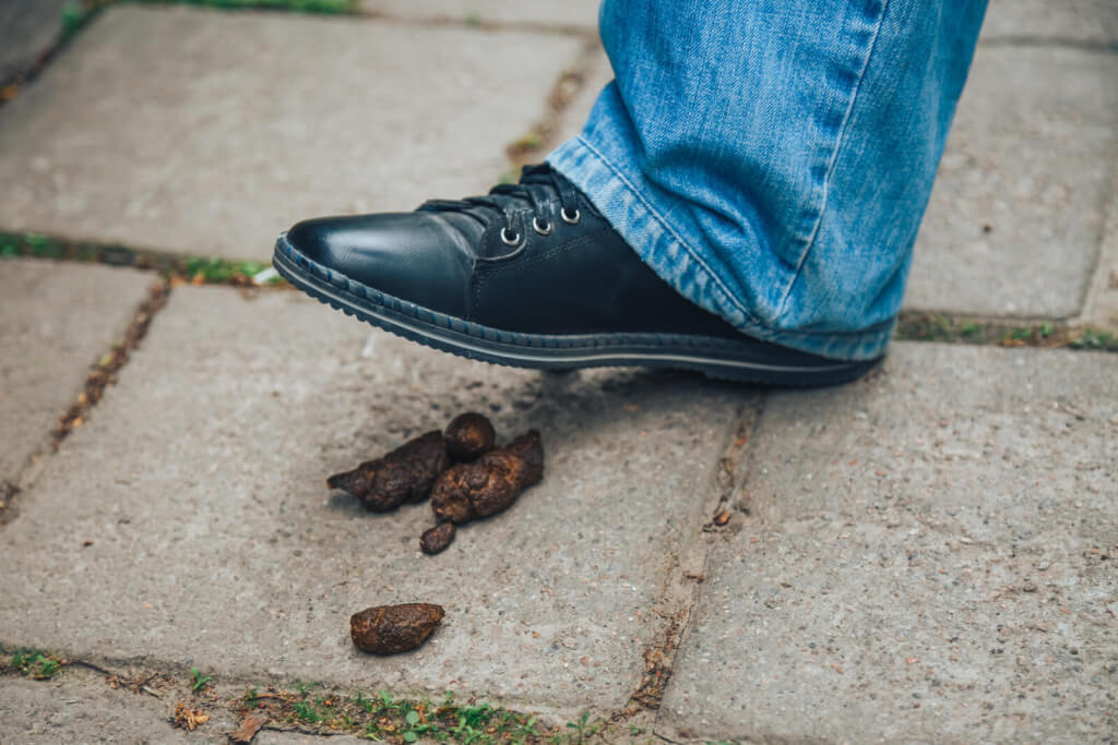 how to get dog poop off shoes